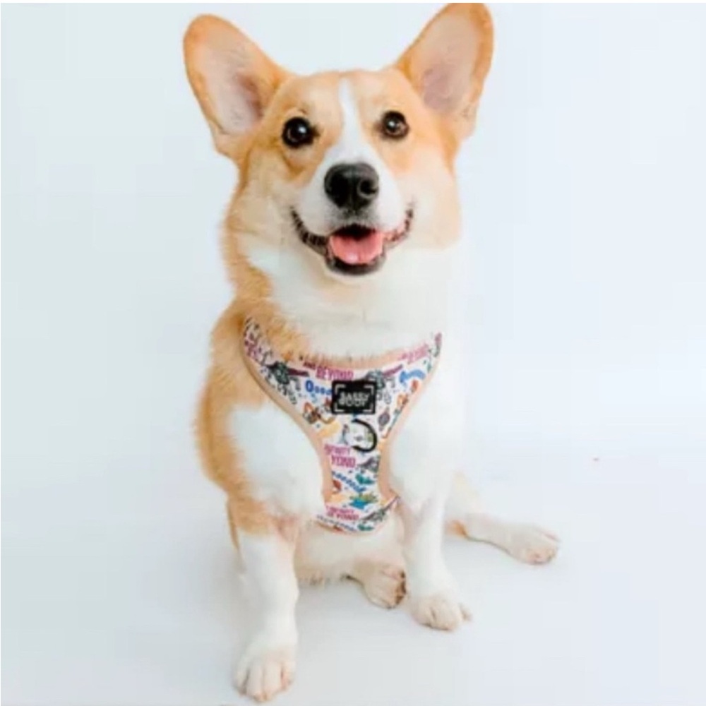 Sassy Woof Toy Story Dog Harness
